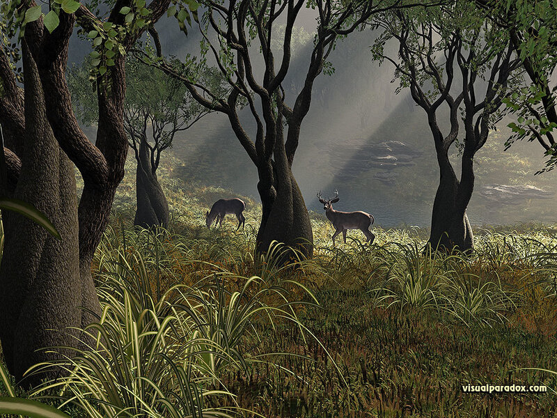Deer in Forest — Green, Serene, Morning, Digital Art, Trees, Grass, Sunlight, Brown