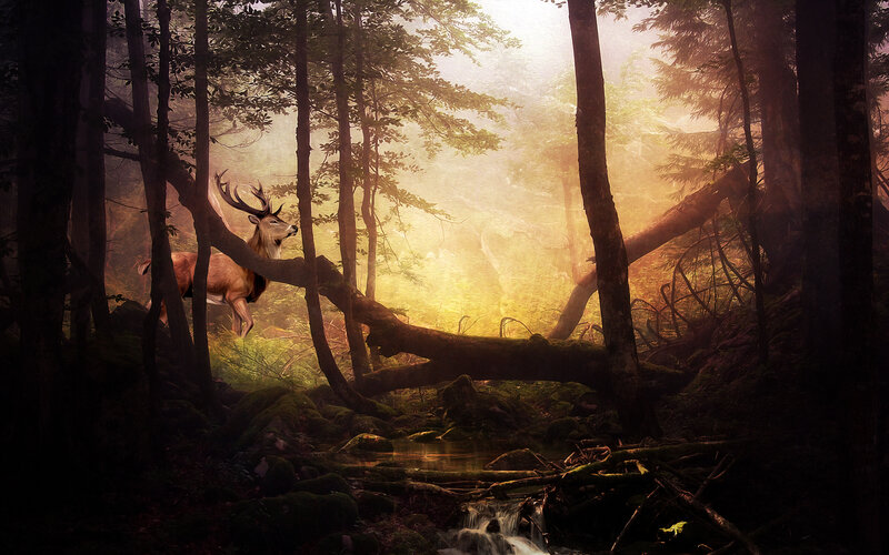 Deer in Forest — Green, Serene, Sunset, Digital Art, Trees