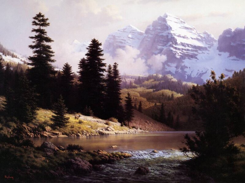 Deer in Forest Landscape