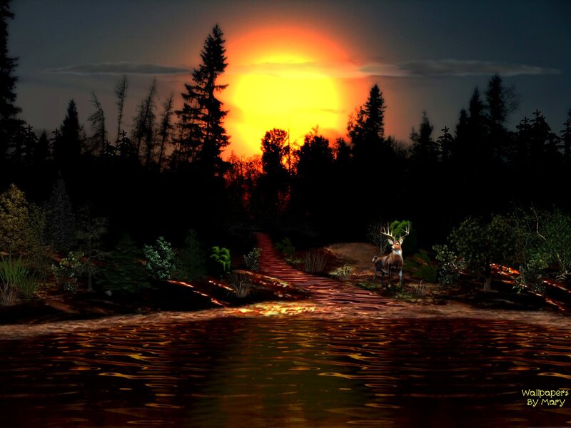 Deer in Forest — Orange, Dramatic