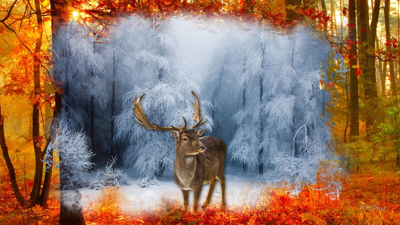 Deer in Forest — Orange, Serene, Autumn, Digital Art