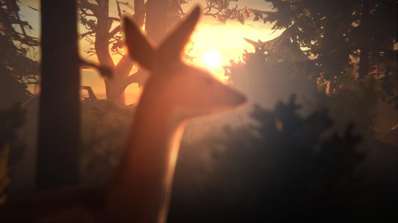 Deer in Forest — Orange, Serene, Sunset, 3d Render