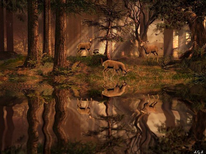 Deer in forest pond