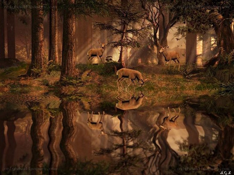 Deer in forest pond