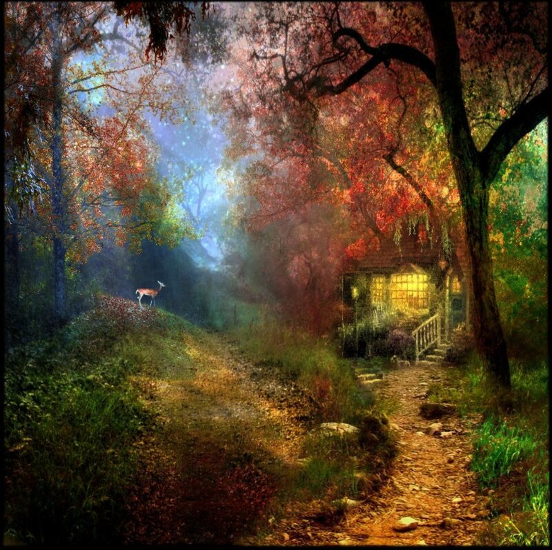 Deer in Forest — Red