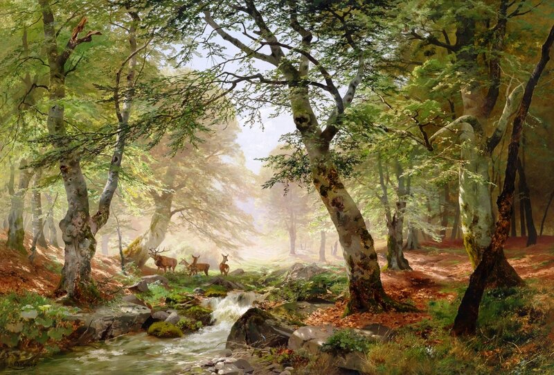 Deer in Forest Stream — Green, Serene