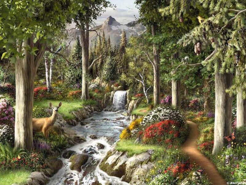 Deer in Forest Stream