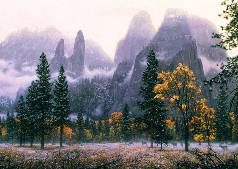 Deer in Forest Valley — Green, Serene