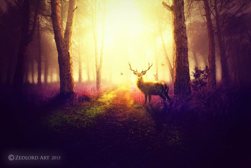 Deer in Forest — Yellow, Serene, Sunset