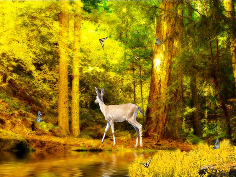 Deer in Forest — Yellow