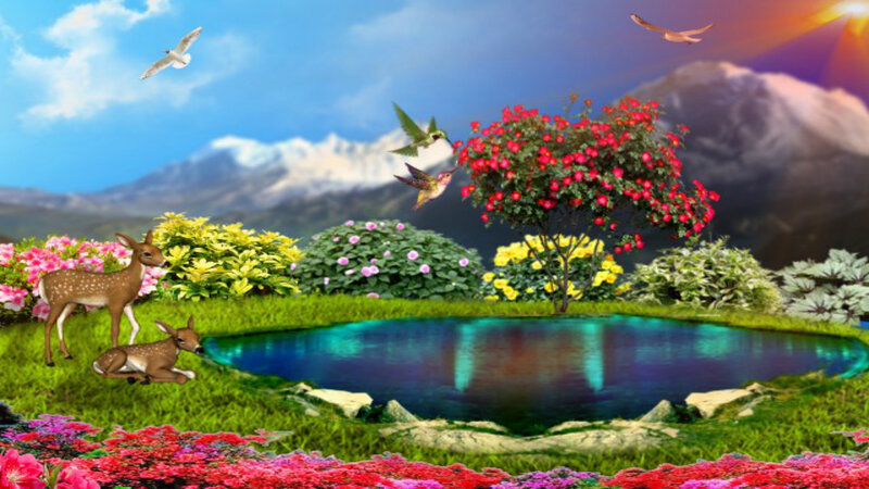Deer in Garden — Green, Serene