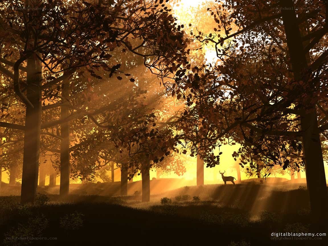 Deer in golden forest