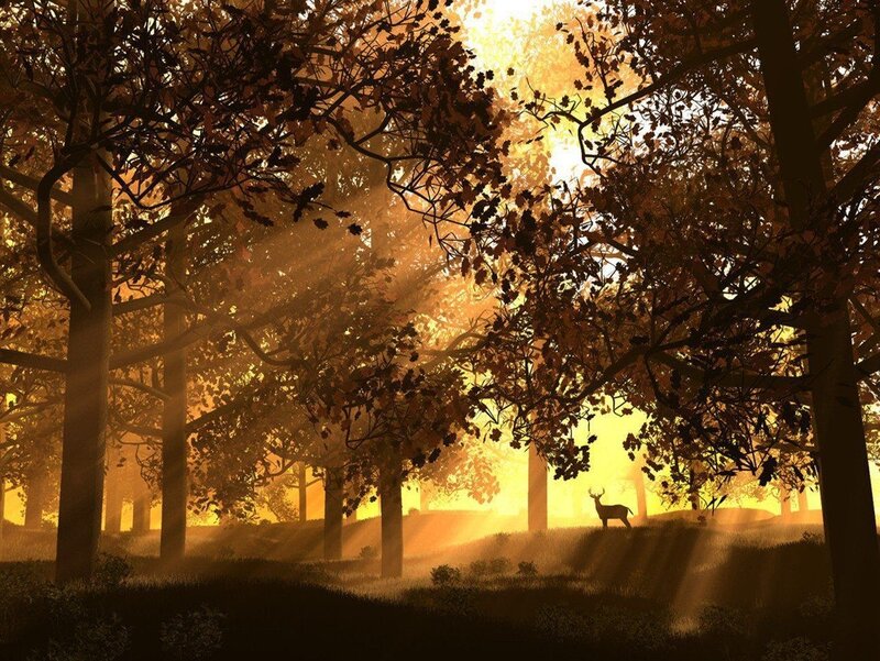 Deer in golden forest