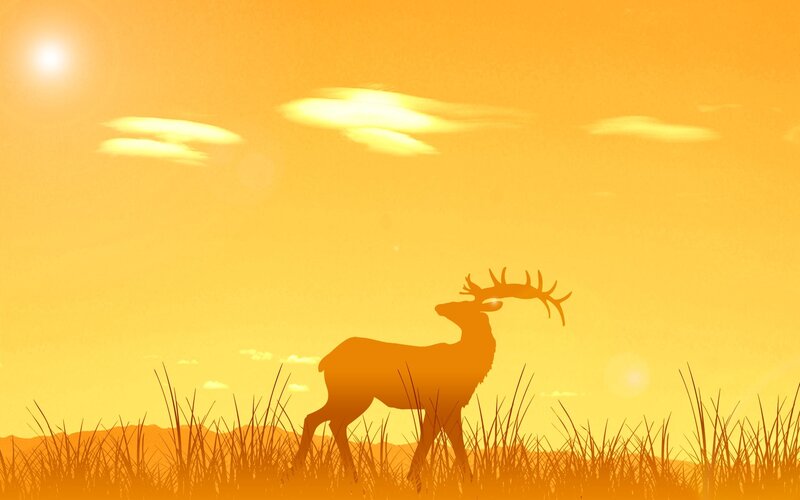 Deer in Grass Field — Orange