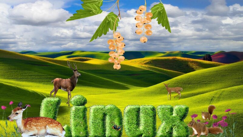 Deer in Green Hills