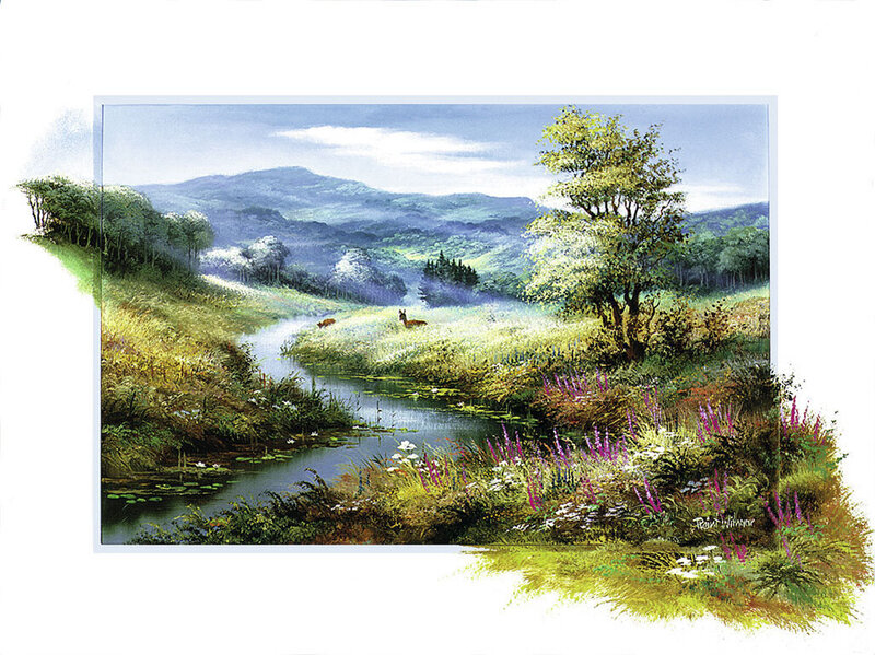Deer in Meadow