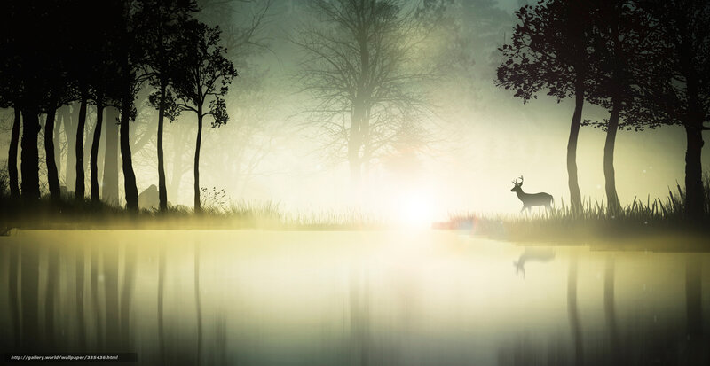 Deer in misty forest