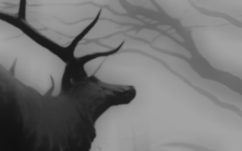 deer in misty forest