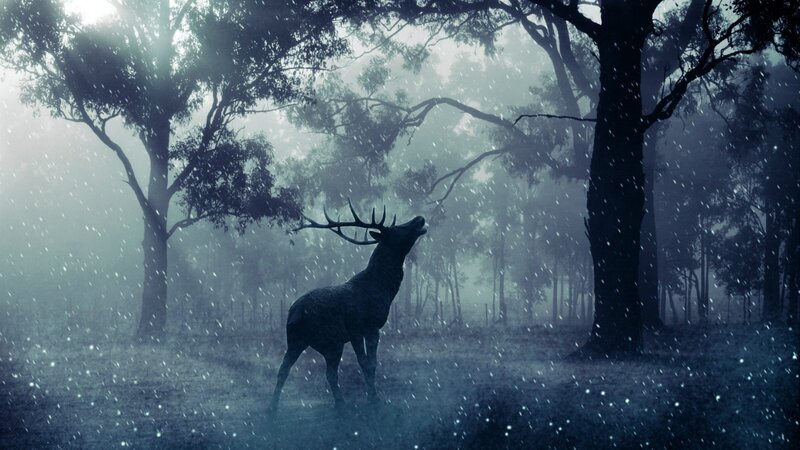 Deer in Misty Forest — Blue
