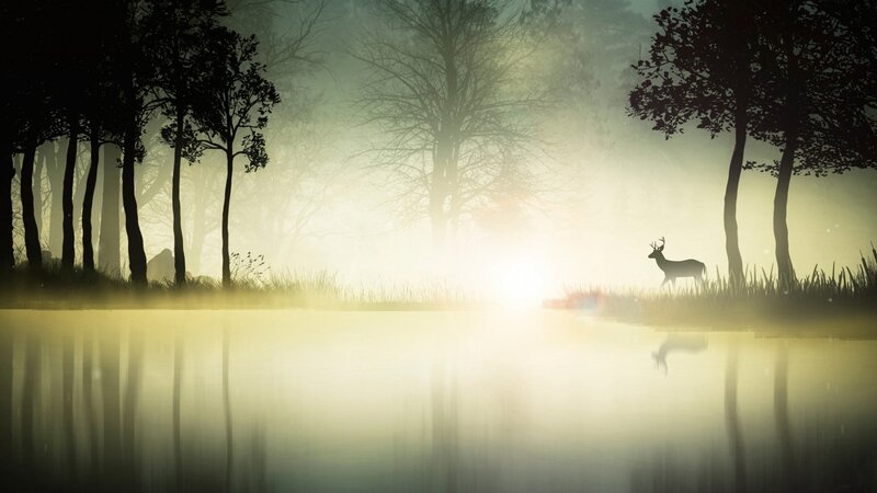 Deer in Misty Forest — Green, Serene, Morning