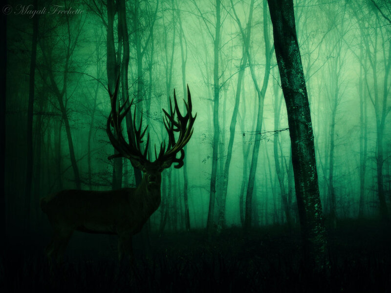 Deer in Misty Forest — Green
