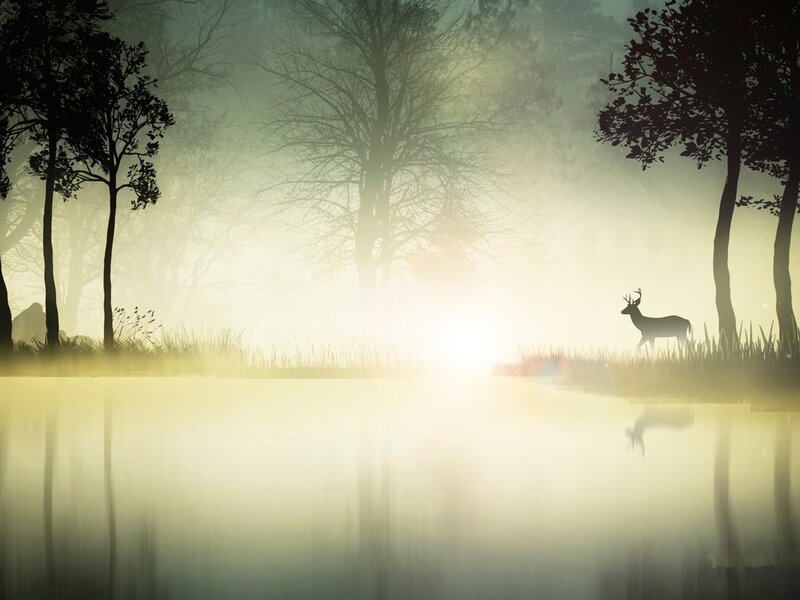 Deer in Misty Forest — Yellow, Serene, Morning