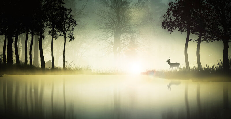 Deer in Misty Forest — Yellow, Serene