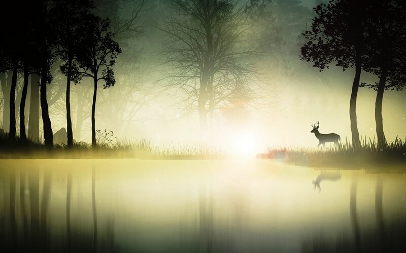 Deer in Misty Forest — Yellow