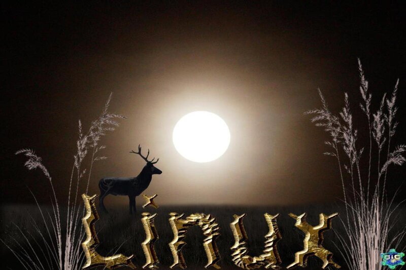 Deer in Moonlight — Black