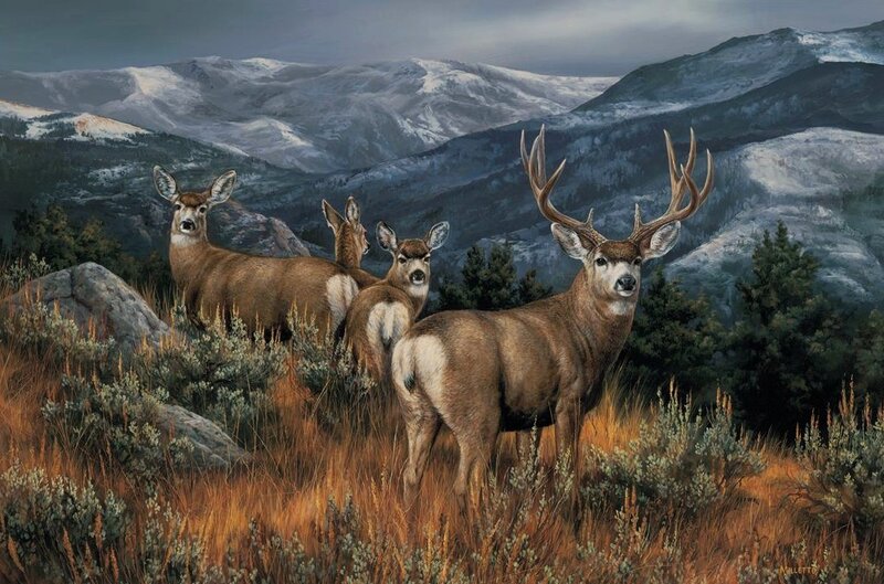 Deer in Mountain Landscape — Brown