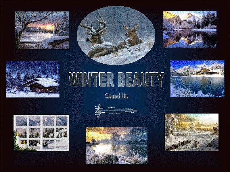 Deer in Snow — Blue, Serene, Winter