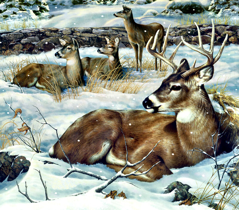 Deer in Snow — Brown, Serene, Winter, Illustration