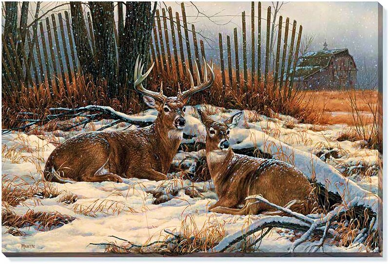 Deer in Snow — Brown, Serene, Winter