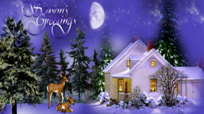 Deer in Snow — Purple
