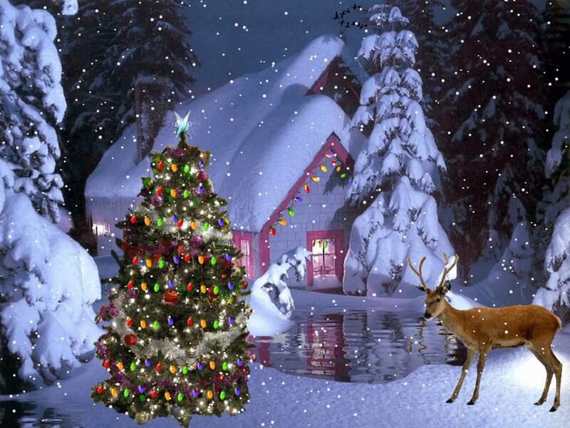 Deer in Snow — White, Peaceful, Night