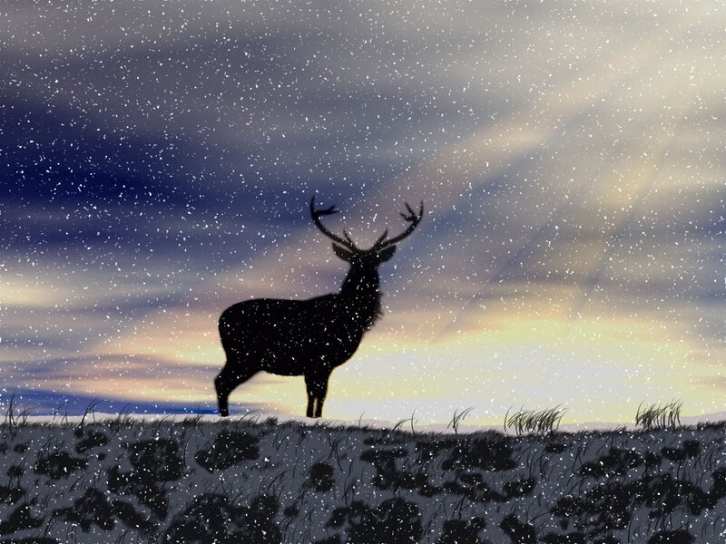 Deer in Snowstorm — Black