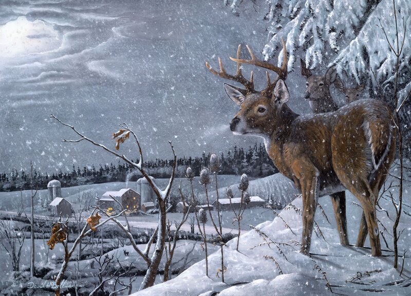 Deer in Snowstorm — White, Serene