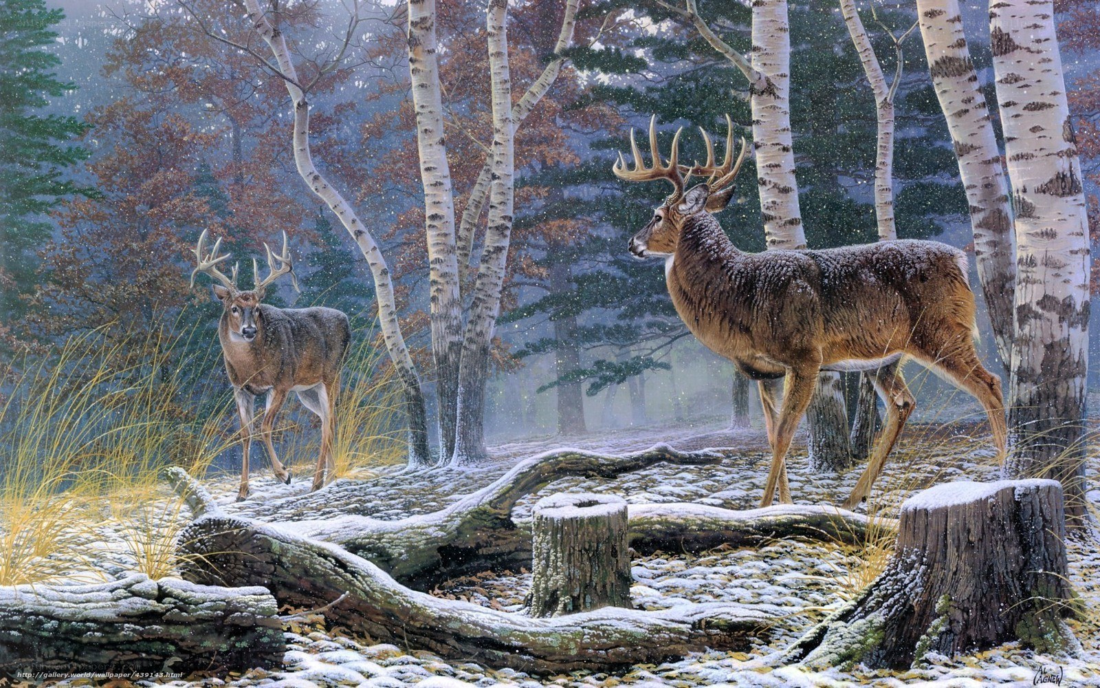 Deer in snowy birch forest
