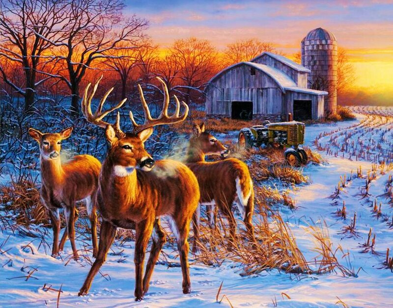 Deer in Snowy Field — Blue, Serene, Winter