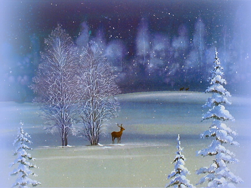Deer in Snowy Field — Blue