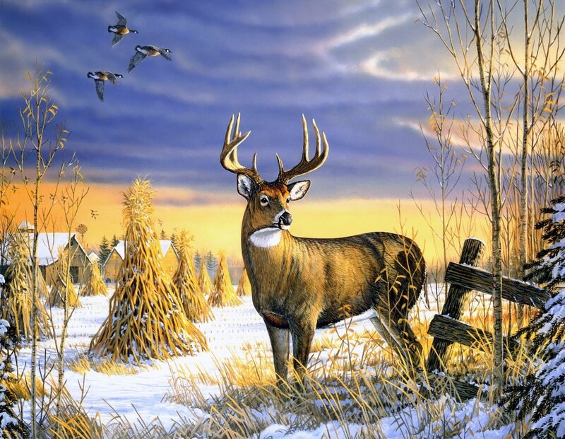 Deer in Snowy Field — Brown, Serene