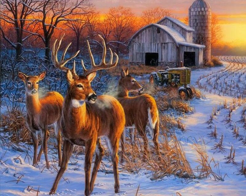 Deer in Snowy Field — White, Serene