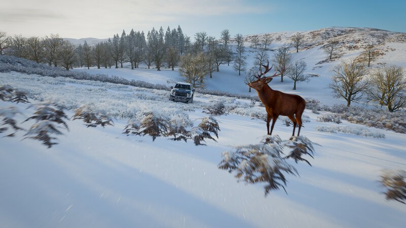 Deer in Snowy Field — White, Serene, Winter, 3d Render