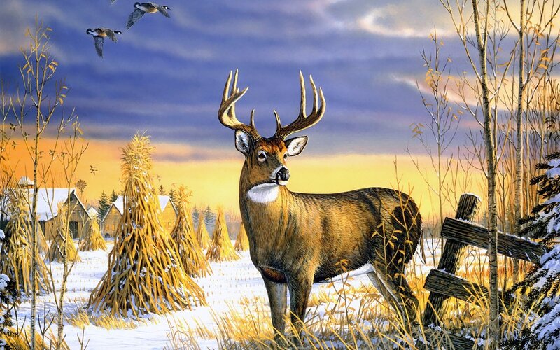 Deer in Snowy Field — Yellow, Serene