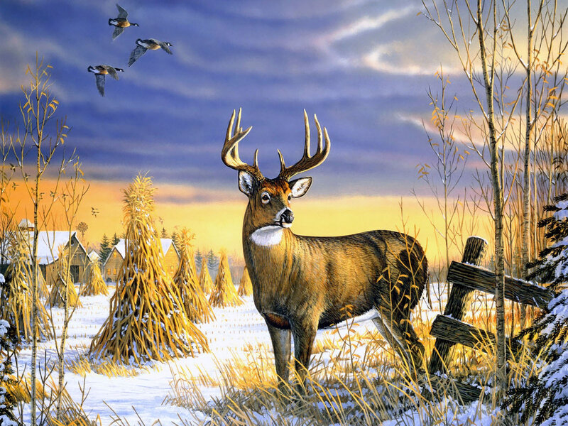 Deer in Snowy Field — Yellow, Serene, Winter