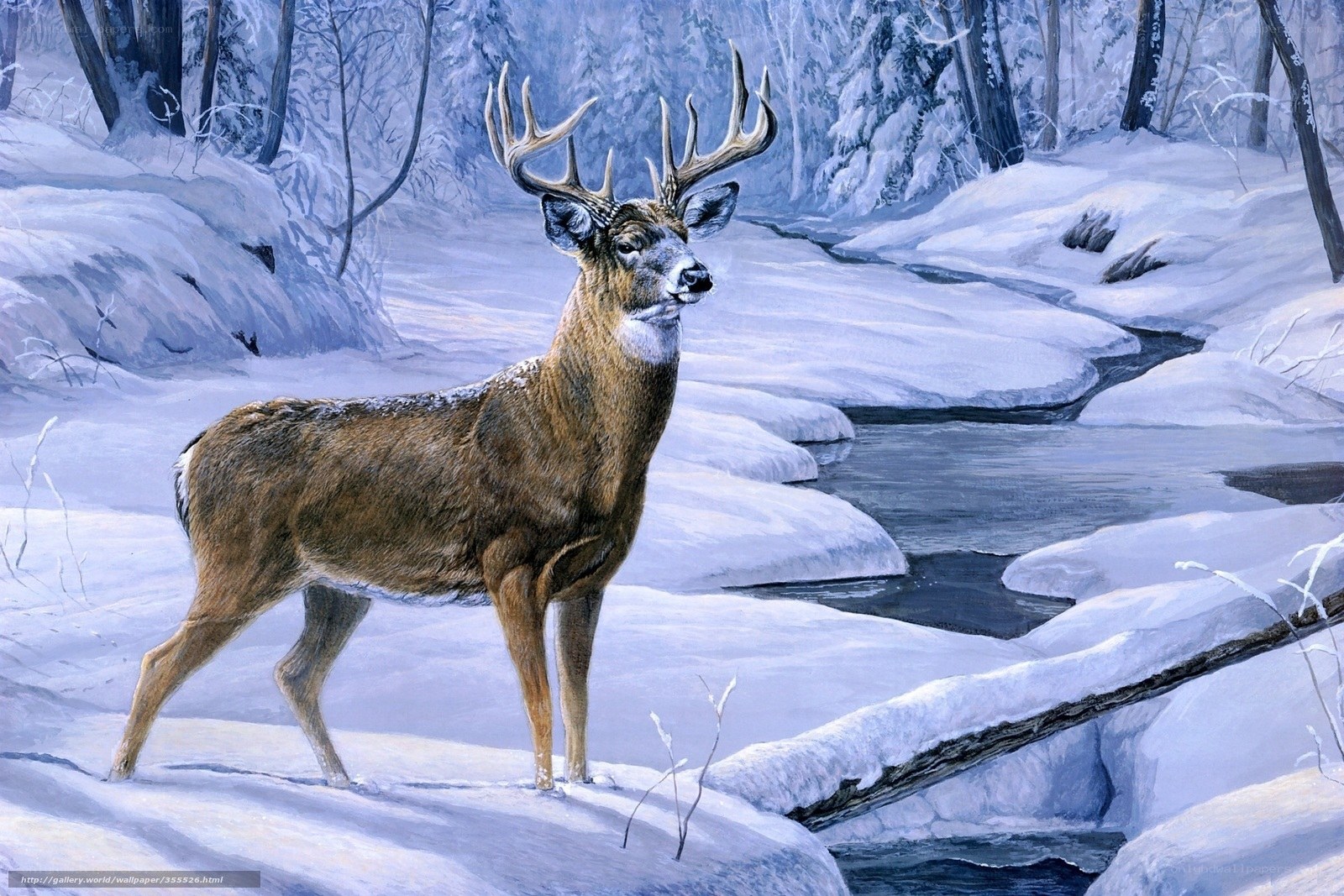 Deer in snowy forest
