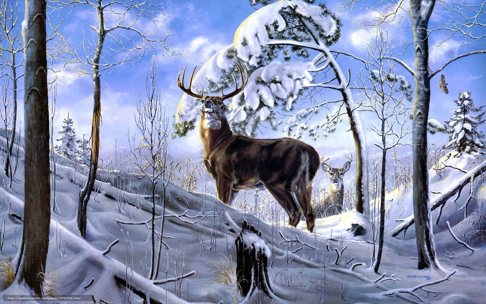 Deer in snowy forest