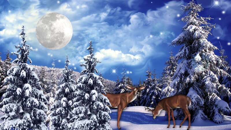 Deer in Snowy Forest — Blue, Serene, Night