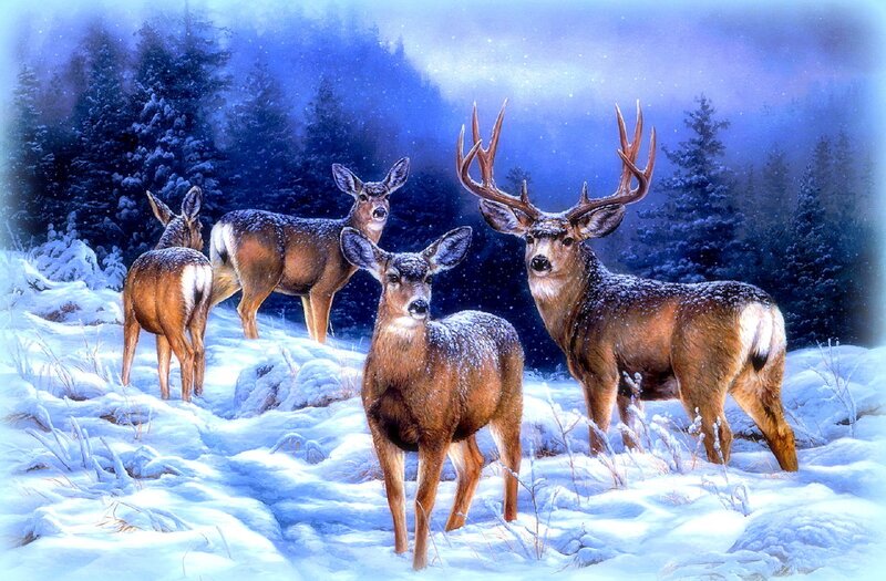 Deer in Snowy Forest — Blue, Serene, Winter, Digital Art