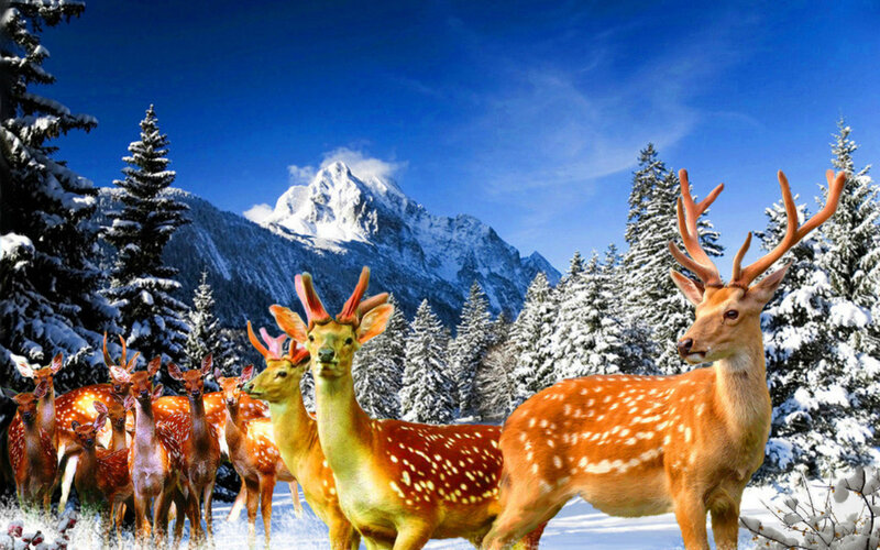 Deer in Snowy Forest — Blue, Serene, Winter